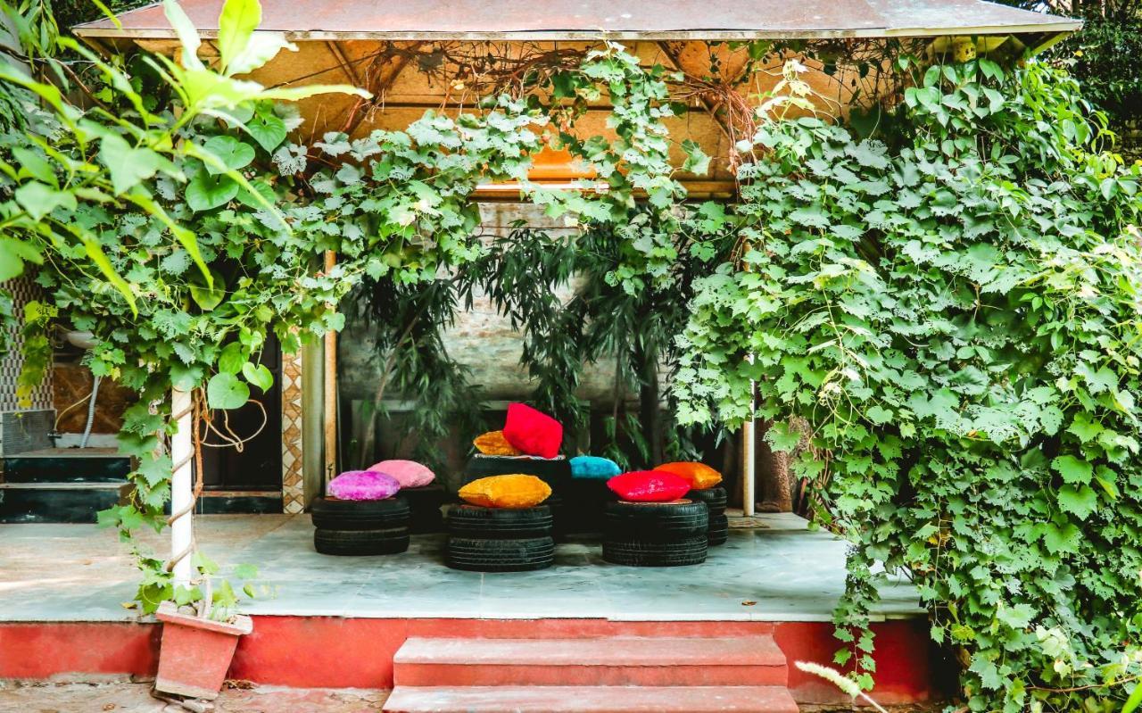 Farmstay - Capsule Den New Delhi Eksteriør bilde